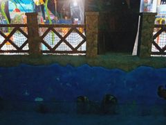 -青岛东方影都融创水世界