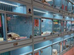 -FAELING PETS美天灵宠物(合生汇店)