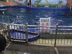 -石家庄极地海洋世界