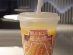 -野萃山·潮汕厚果汁(十亩地店)