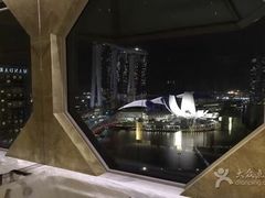 -新加坡丽思卡尔顿美年酒店