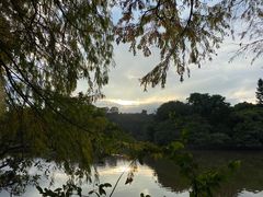 -深圳仙湖植物园