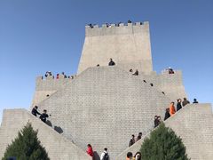 -金塔沙漠胡杨林景区