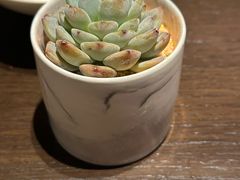 -彩丰楼中餐厅(佘山世茂洲际酒店)