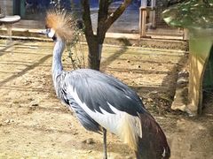 -无锡动物园·太湖欢乐园