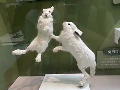 -国家自然博物馆