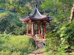 -句容茅山景区