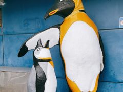 -太平洋海底世界