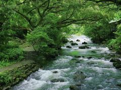 -广州市石门国家森林公园