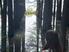 -东湖落雁景区