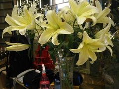 -八珍玉食鸡煲·打边炉(印象城店)