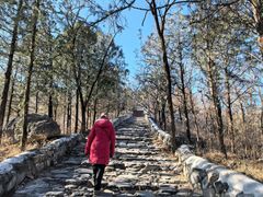 -阳台山自然风景区