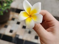 -西双版纳融创皇冠假日度假酒店