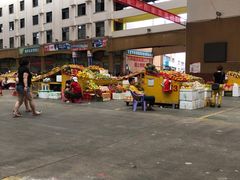 -三亚新鸿港水果一级批发市场