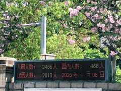 -嘉定紫藤园