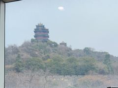 -七欣天香辣蟹火锅(南京建宁路大观天地店)