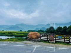-大九湖