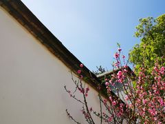 -乌山风景区