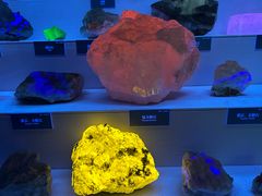 -湖南省地质博物馆