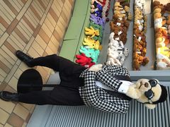 泰迪熊博物馆-济州岛泰迪熊博物馆