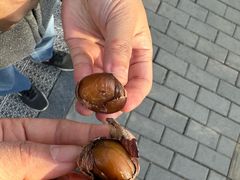 -秋栗香(地安门店)