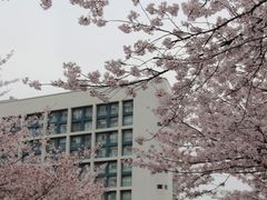 -三好坞景观餐厅