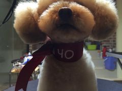 -Oh My Dog宠物沙龙(伊珊娜皮毛护理店)