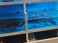 -聚丰园•湖鲜餐厅(阿红私房菜梅石路店)