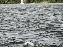-白洋淀景区