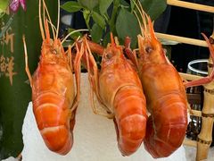 熟醉虾-火福·天湖阁大闸蟹博物馆主题餐厅(浅水湾店)