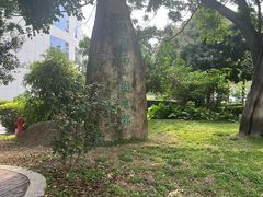 -南山图书馆(常兴路店)