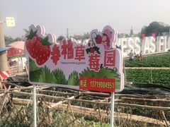 -万顷园艺世界