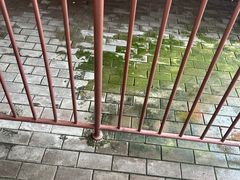 -无锡动物园·太湖欢乐园