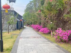 -广州神农草堂中医药博物馆