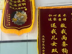 -嘉馨宠物医院·CT影像转诊·心脏科·犬猫全科诊疗中心(下沙大学城院区)