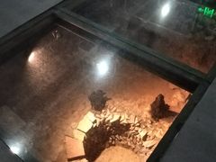 -南越王博物院(王宫展区)