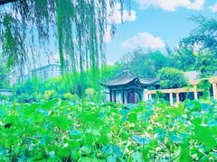 -莲湖公园