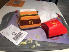 -麦当劳(吉林站13检票口对面)