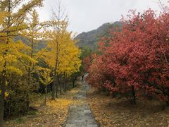 -北京鹫峰国家森林公园