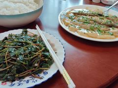 -杨记新泉美食