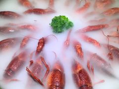 -红盔甲·小龙虾(天钥桥店)