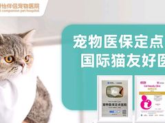 -瑞派康怡24h宠物医院·犬猫医疗中心·微创绝育(瑞景分院)