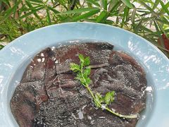 -凤来栖·净庭院·火锅(欧尚店)