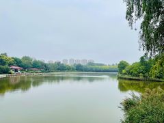 -塘沽森林公园