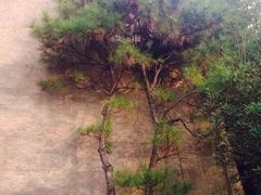 iphone_upload_pic-合肥三国新城遗址公园