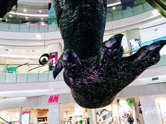 -凯德广场(学府店)