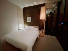 -上海柏悦酒店