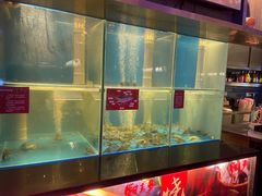 水产区-钳真多钓虾馆·小龙虾海鲜烧烤(九六广场店)