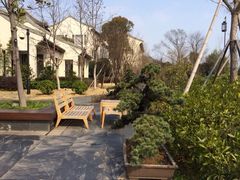 iphone_upload_pic-上海柏悦酒店