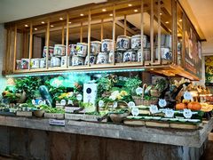 -亚马逊蒸汽活海鲜自助(LCM置汇旭辉广场店)